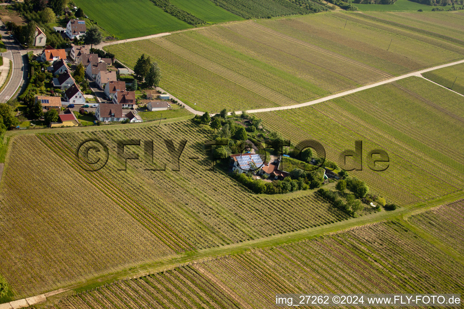 BiolandViticulture Unterm Grassdach Domaine Marzolph à le quartier Wollmesheim in Landau in der Pfalz dans le département Rhénanie-Palatinat, Allemagne hors des airs