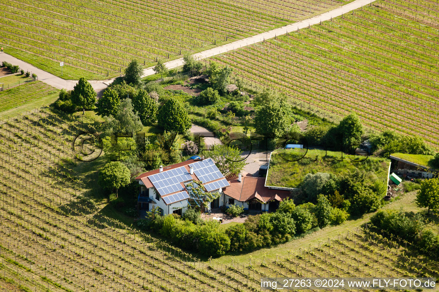 BiolandViticulture Unterm Grassdach Domaine Marzolph à le quartier Wollmesheim in Landau in der Pfalz dans le département Rhénanie-Palatinat, Allemagne vue d'en haut