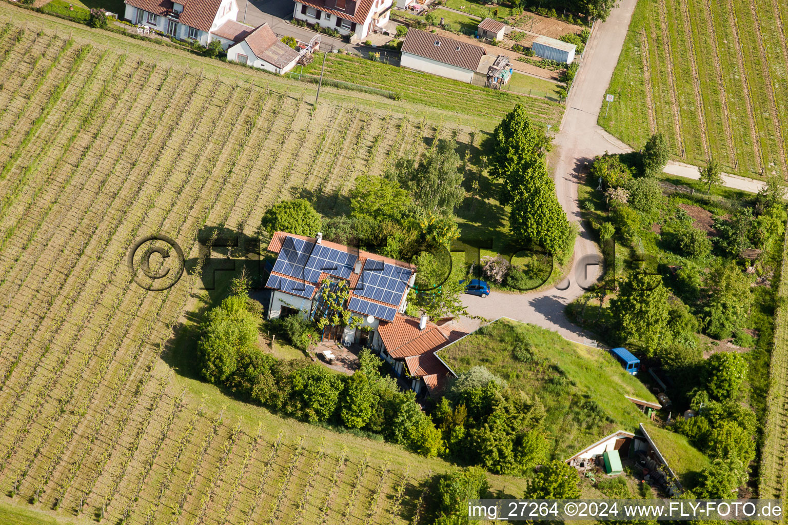 BiolandViticulture Unterm Grassdach Domaine Marzolph à le quartier Wollmesheim in Landau in der Pfalz dans le département Rhénanie-Palatinat, Allemagne depuis l'avion