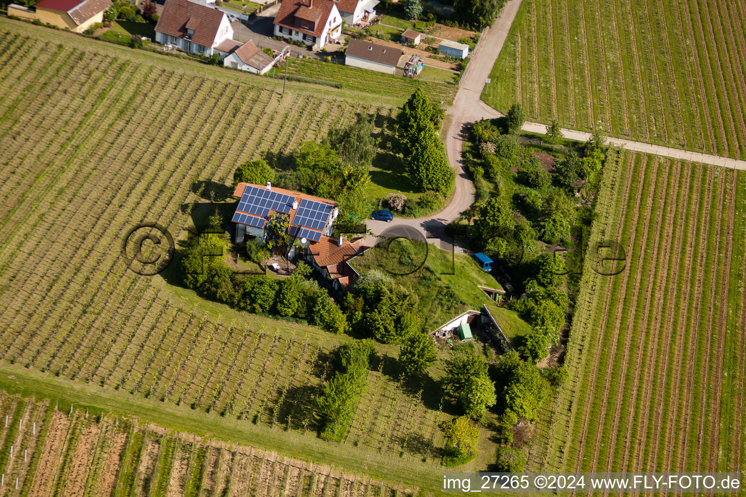 Vue d'oiseau de BiolandViticulture Unterm Grassdach Domaine Marzolph à le quartier Wollmesheim in Landau in der Pfalz dans le département Rhénanie-Palatinat, Allemagne