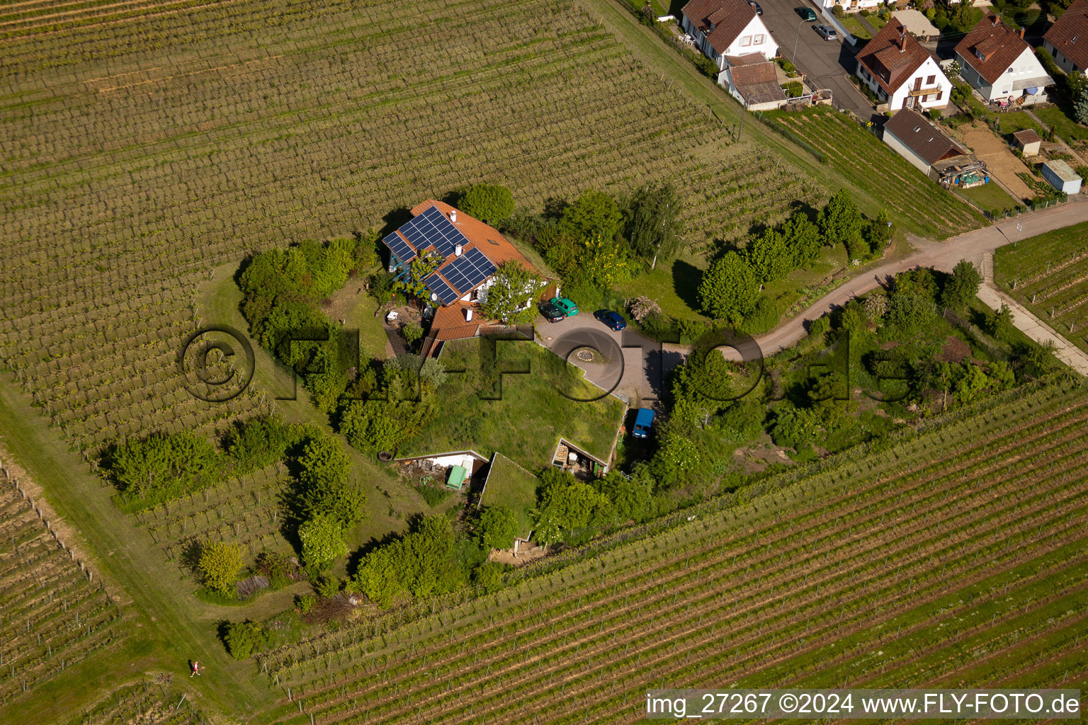 Enregistrement par drone de BiolandViticulture Unterm Grassdach Domaine Marzolph à le quartier Wollmesheim in Landau in der Pfalz dans le département Rhénanie-Palatinat, Allemagne