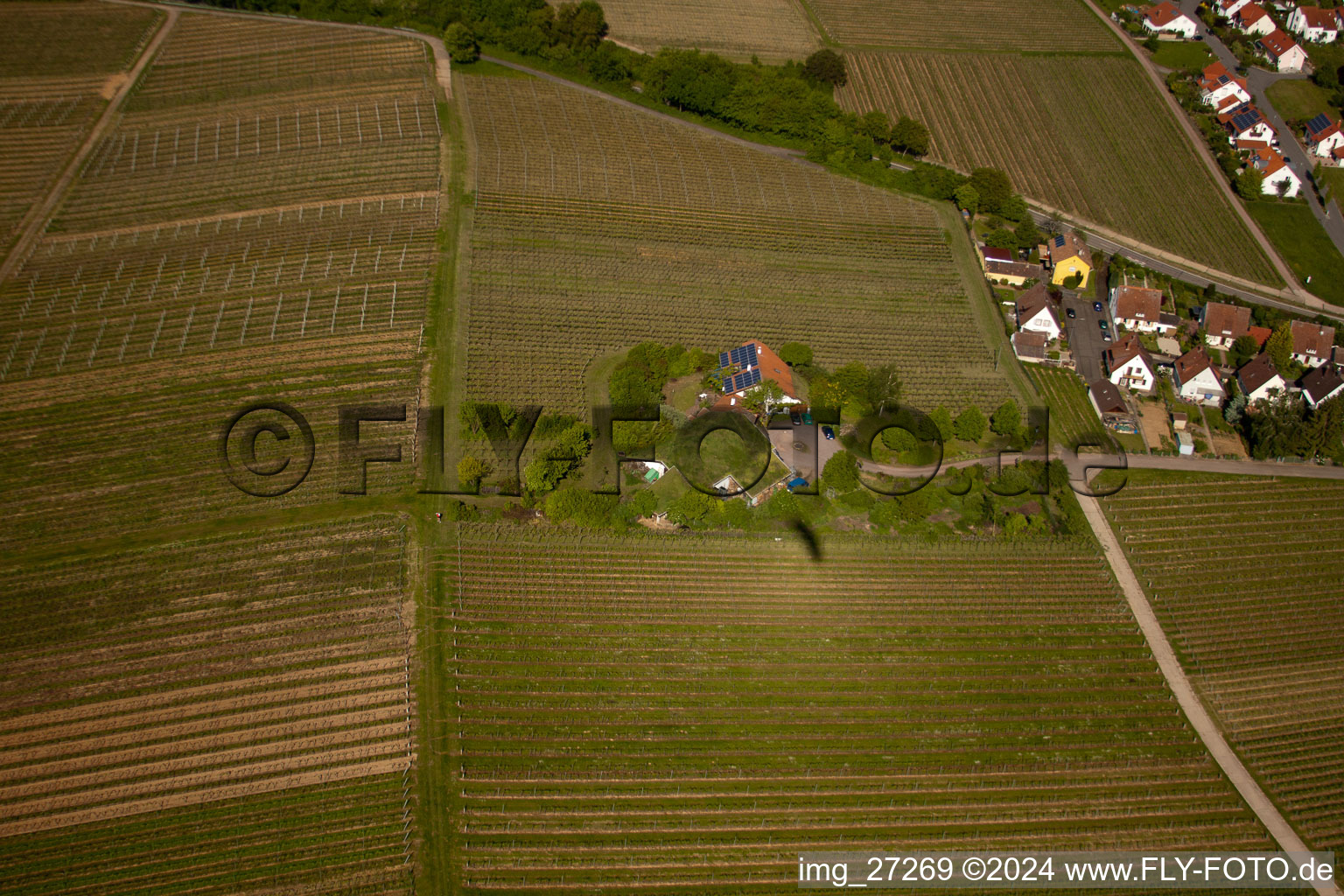 BiolandViticulture Unterm Grassdach Domaine Marzolph à le quartier Wollmesheim in Landau in der Pfalz dans le département Rhénanie-Palatinat, Allemagne du point de vue du drone