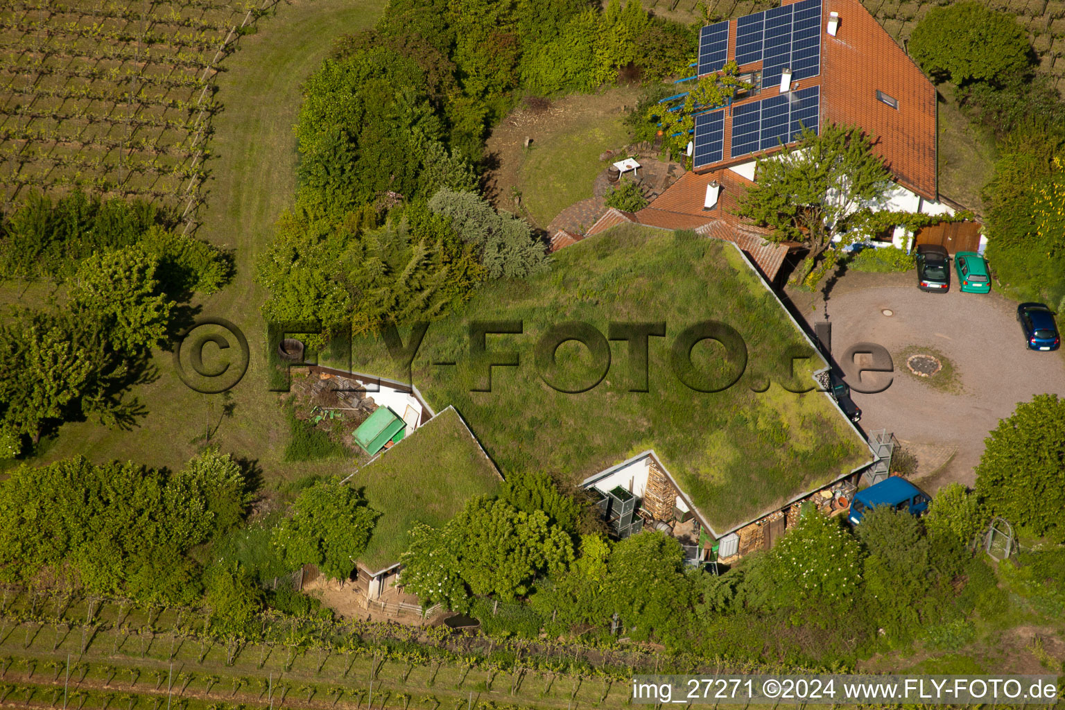 BiolandViticulture Unterm Grassdach Domaine Marzolph à le quartier Wollmesheim in Landau in der Pfalz dans le département Rhénanie-Palatinat, Allemagne d'un drone