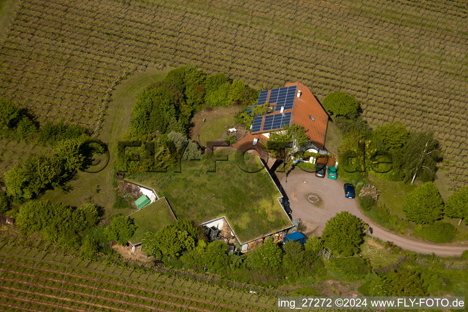 BiolandViticulture Unterm Grassdach Domaine Marzolph à le quartier Wollmesheim in Landau in der Pfalz dans le département Rhénanie-Palatinat, Allemagne vu d'un drone