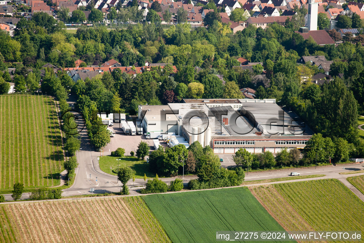 Vue aérienne de Wollmesheimer Höhe, Hofmeister-Brot GmbH à Landau in der Pfalz dans le département Rhénanie-Palatinat, Allemagne