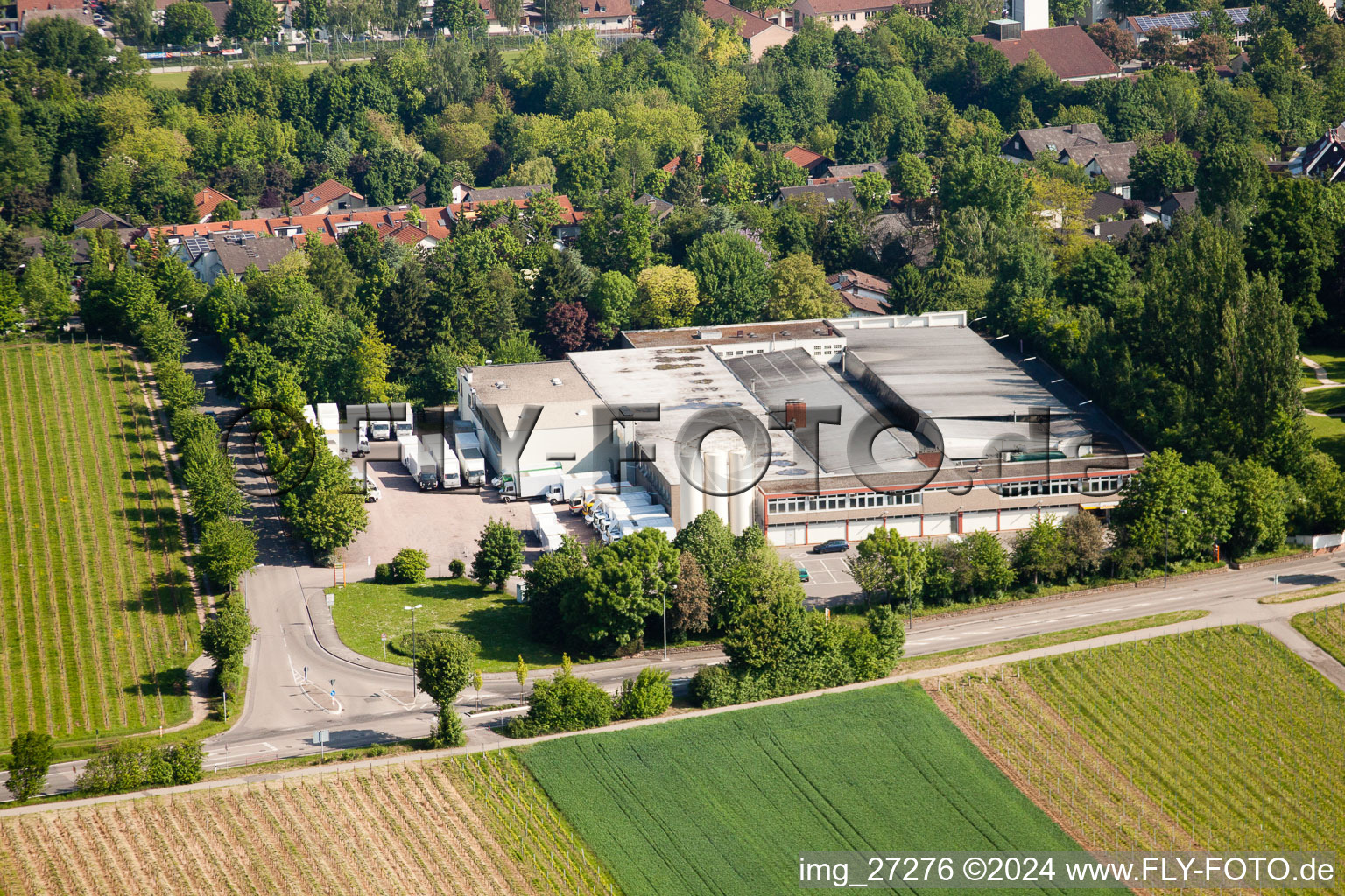 Vue aérienne de Wollmesheimer Höhe, Hofmeister-Brot GmbH à Landau in der Pfalz dans le département Rhénanie-Palatinat, Allemagne