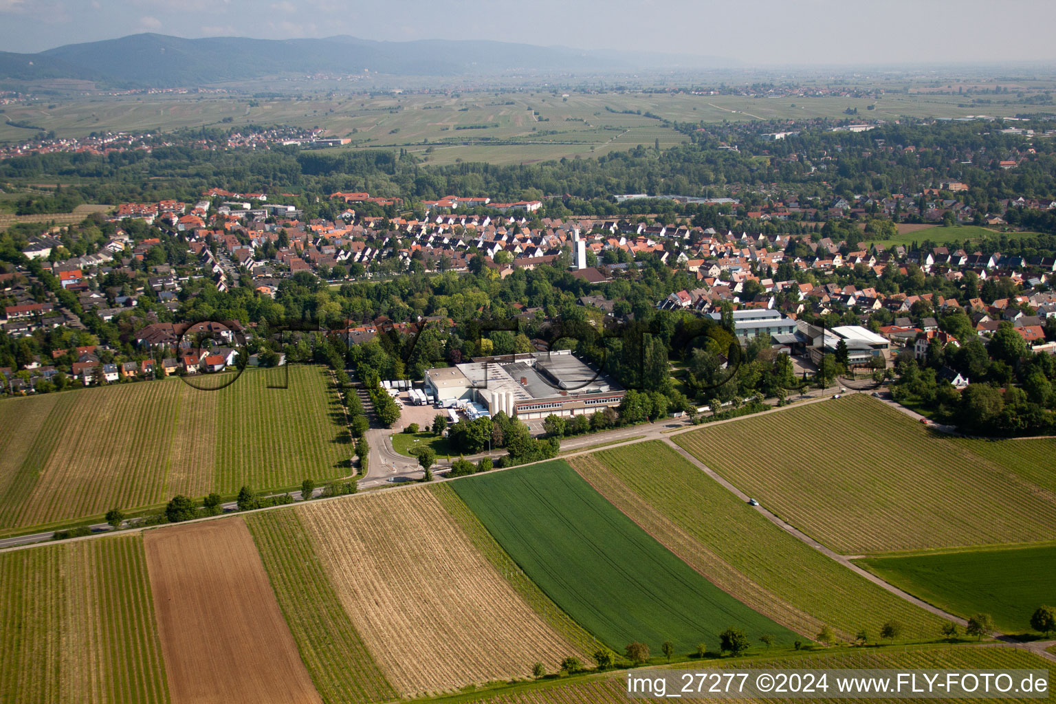 Photographie aérienne de Wollmesheimer Höhe, Hofmeister-Brot GmbH à Landau in der Pfalz dans le département Rhénanie-Palatinat, Allemagne