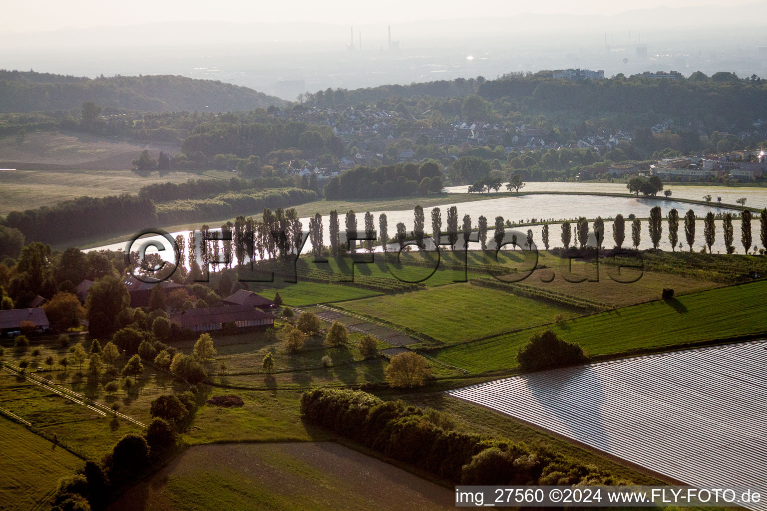 Vue aérienne de Rangée d'arbres sur une route de campagne en bordure de champ dans le quartier Thomashof, Hohenwettersbach à le quartier Hohenwettersbach in Karlsruhe dans le département Bade-Wurtemberg, Allemagne