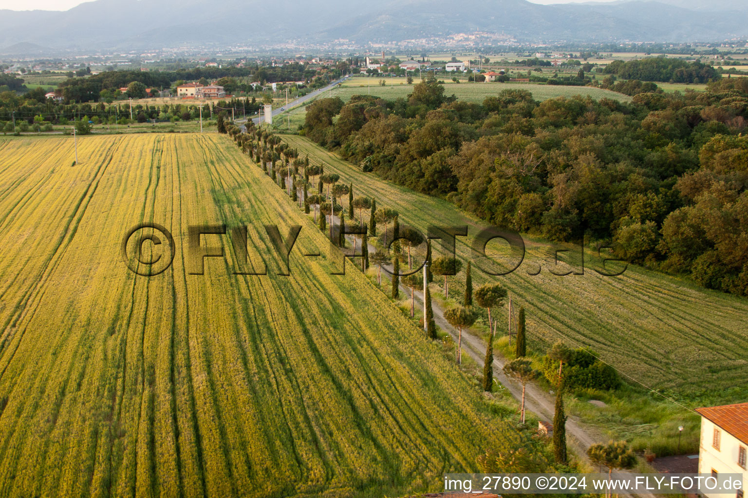 Vue aérienne de Avenue des cyprès, rangée d'arbres sur une route de campagne au bord d'un champ à Castroncello à Castiglion Fiorentino dans le département Arezzo, Italie