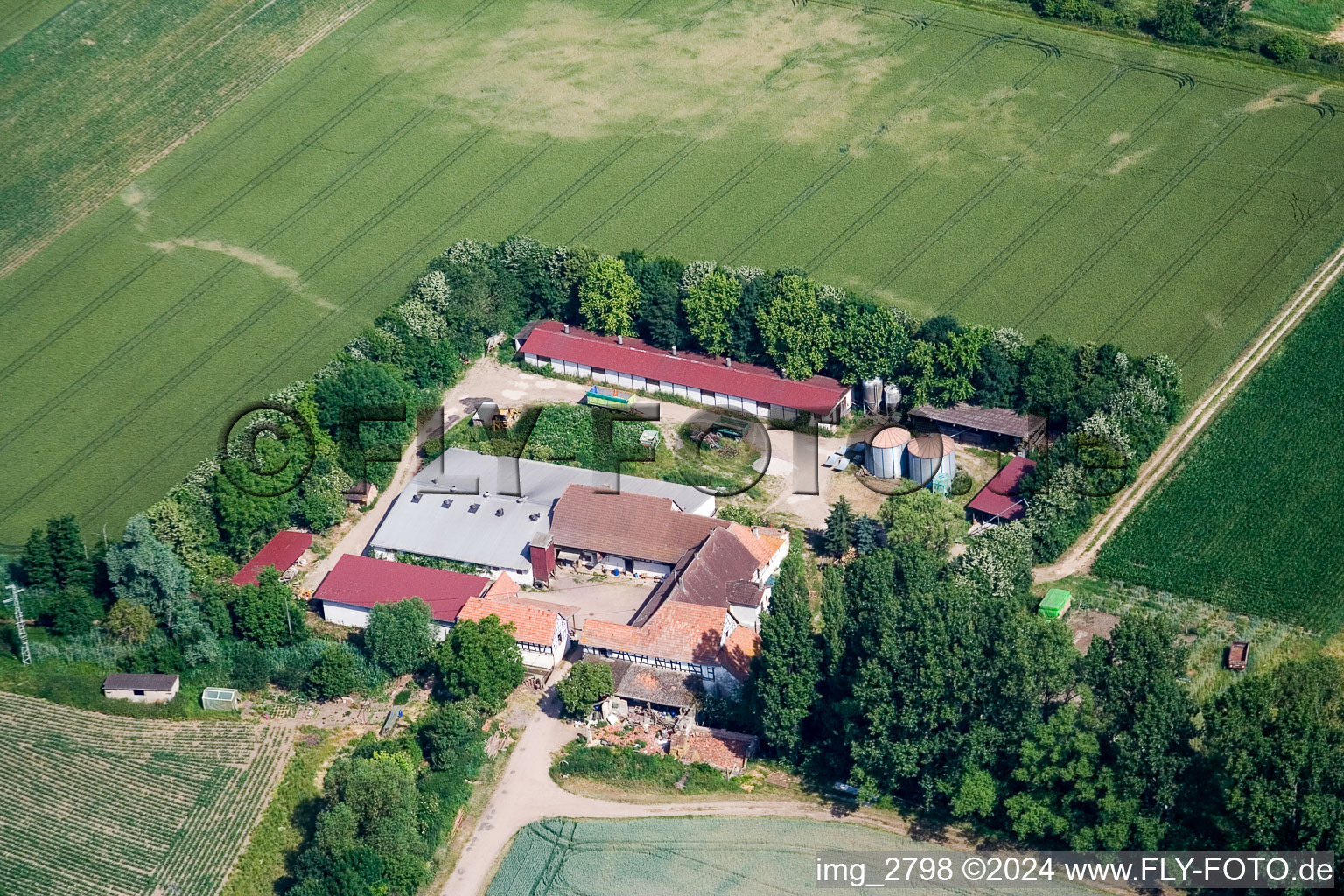 Vue aérienne de Moulin à rebord à Erlenbach bei Kandel dans le département Rhénanie-Palatinat, Allemagne