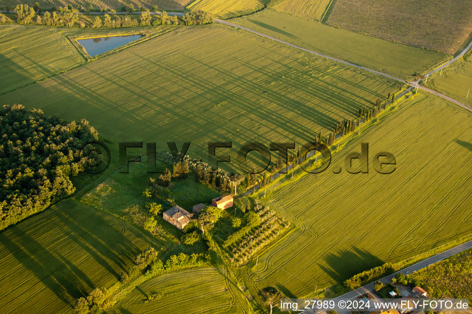 Vue aérienne de Structures herbeuses d'un paysage champêtre avec de longues ombres de l'avenue des cyprès de l'ancienne ferme Az. Saint-Lucien à Monte San Savino dans le département Arezzo, Italie