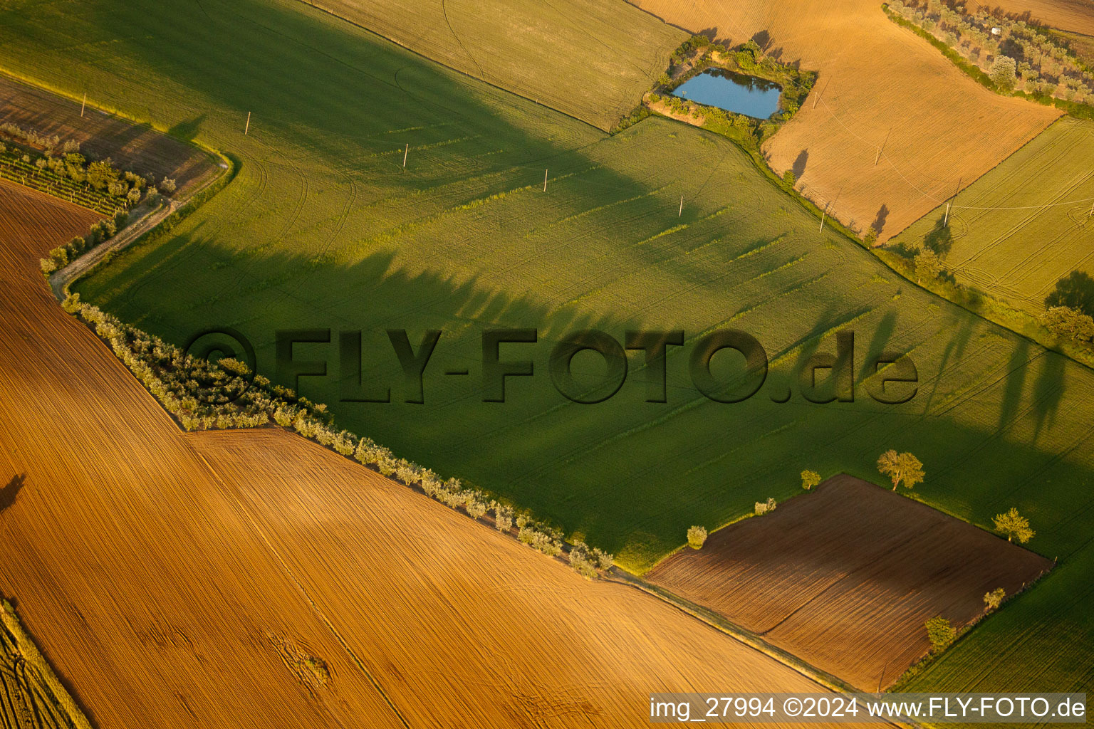 Vue aérienne de Coucher de soleil sur le paysage des champs à Monte San Savino dans le département Arezzo, Italie