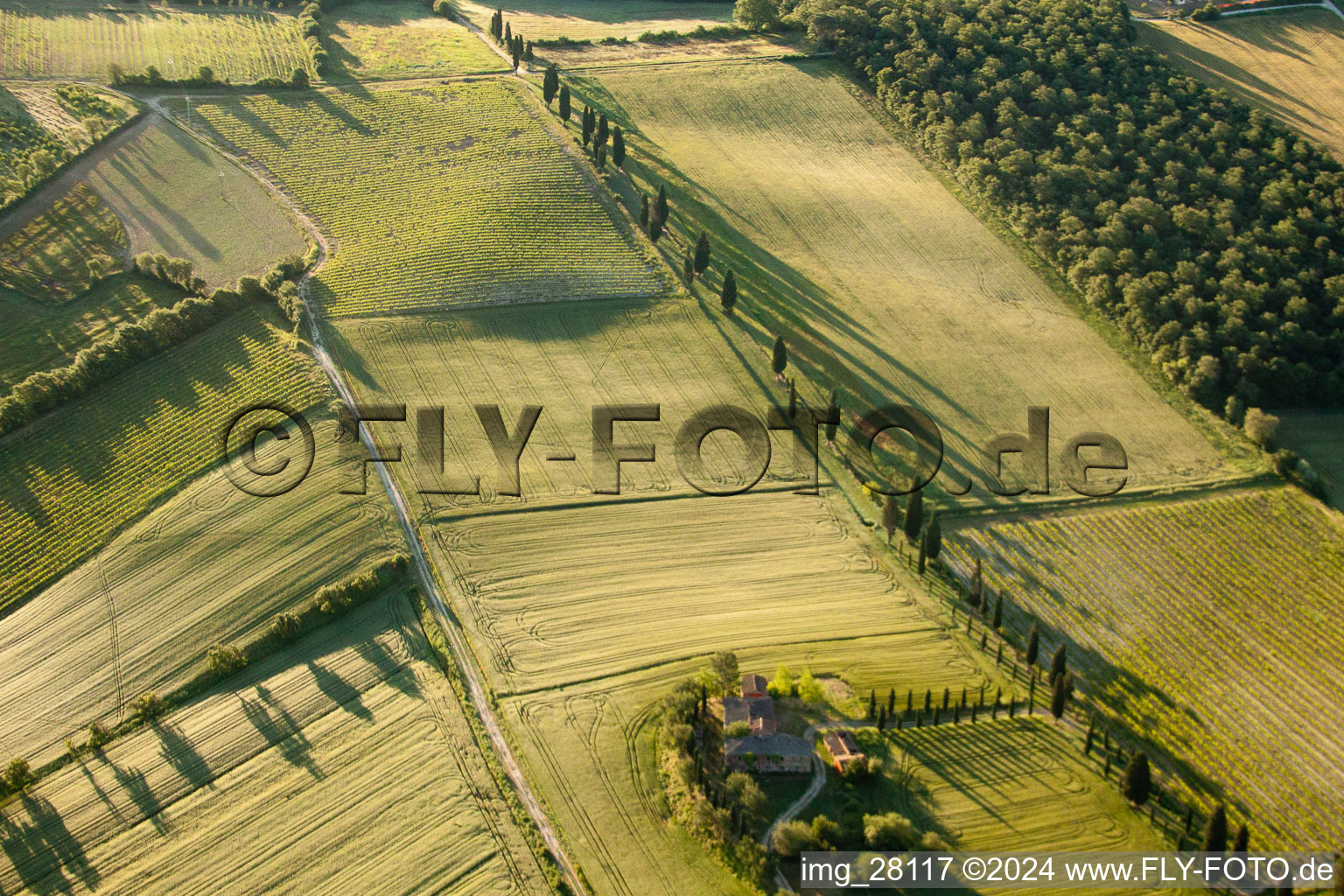 Vue aérienne de Structures dans les champs agricoles avec avenue ombragée de cyprès à Il Pianello dans le département Toscane, Italie