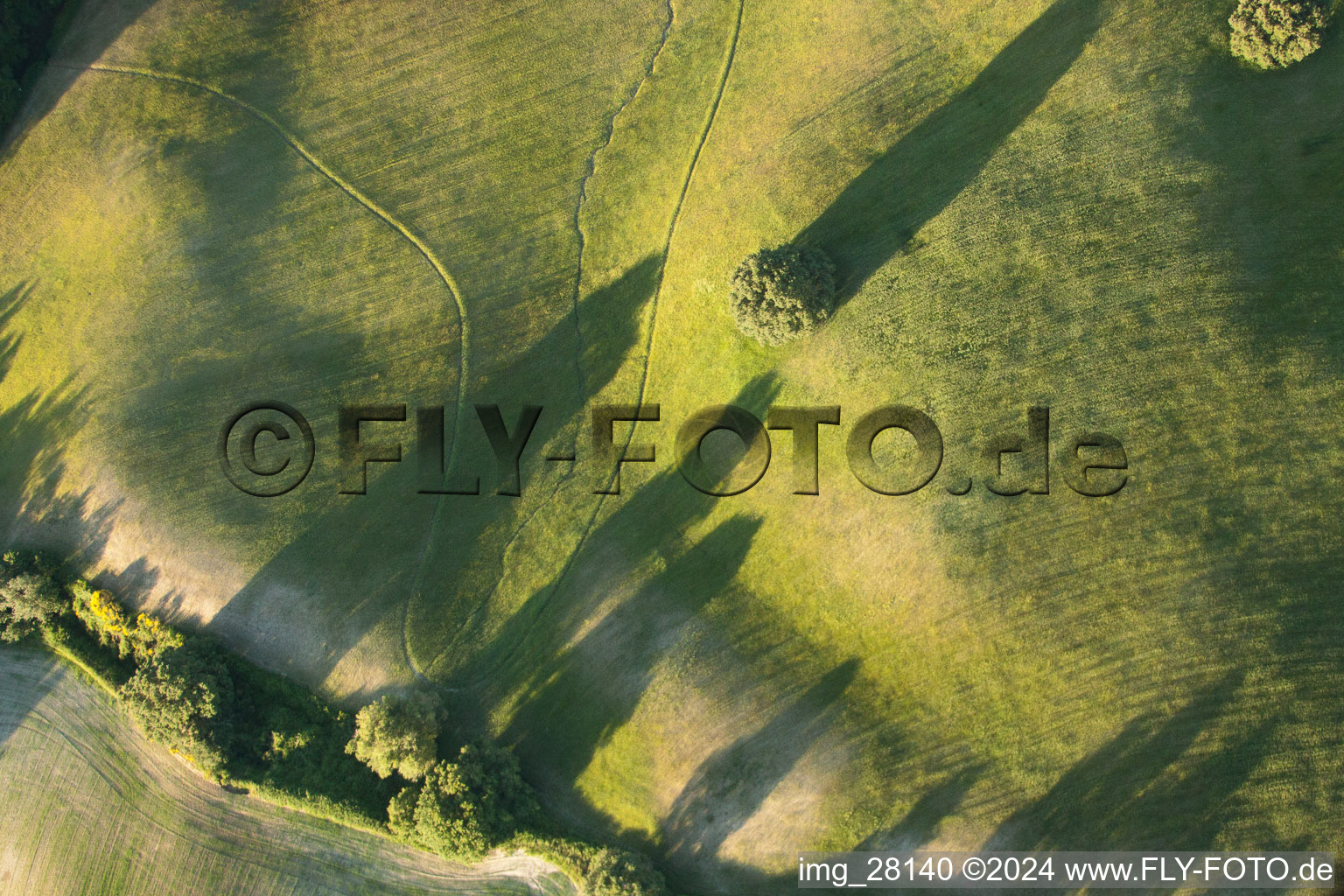 Vue aérienne de Structures d'herbe dans un paysage de champs et de prairies avec ombres d'arbres dans le quartier Località Il Colle à Trequanda dans le département Siena, Italie