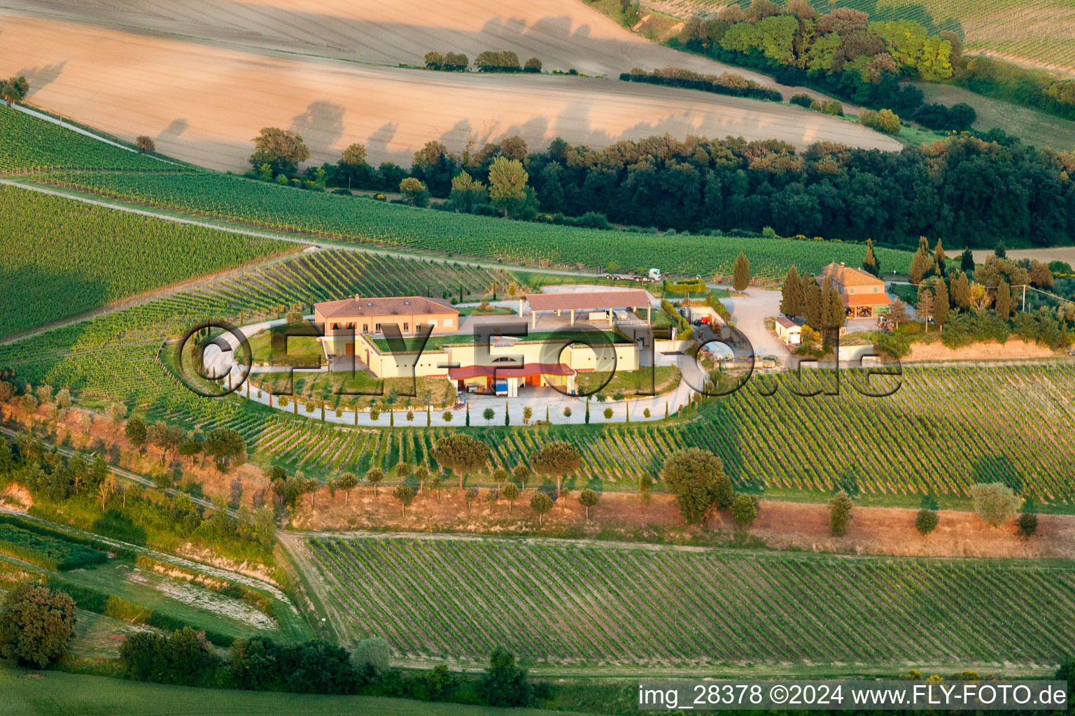 Vue aérienne de Ferme viticole Avignonesi, Via della Lodola à Montepulciano dans le département Siena, Italie