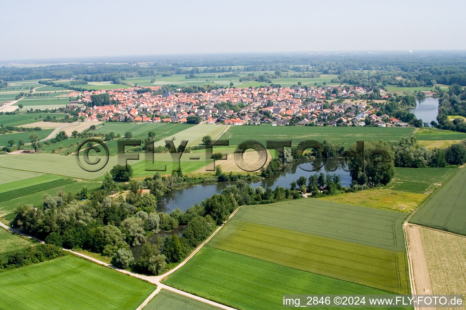 Vue aérienne de Zones riveraines du lac Fischmal à Leimersheim dans le département Rhénanie-Palatinat, Allemagne