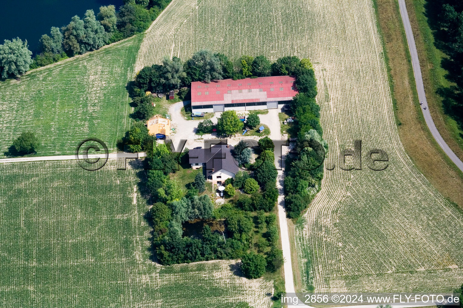 Vue aérienne de Seehof (labyrinthe de maïs) à Leimersheim dans le département Rhénanie-Palatinat, Allemagne