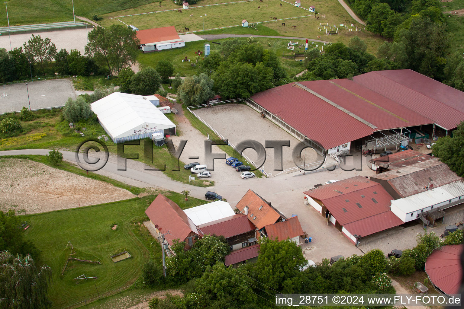 Haras de la Née à Neewiller-près-Lauterbourg dans le département Bas Rhin, France depuis l'avion