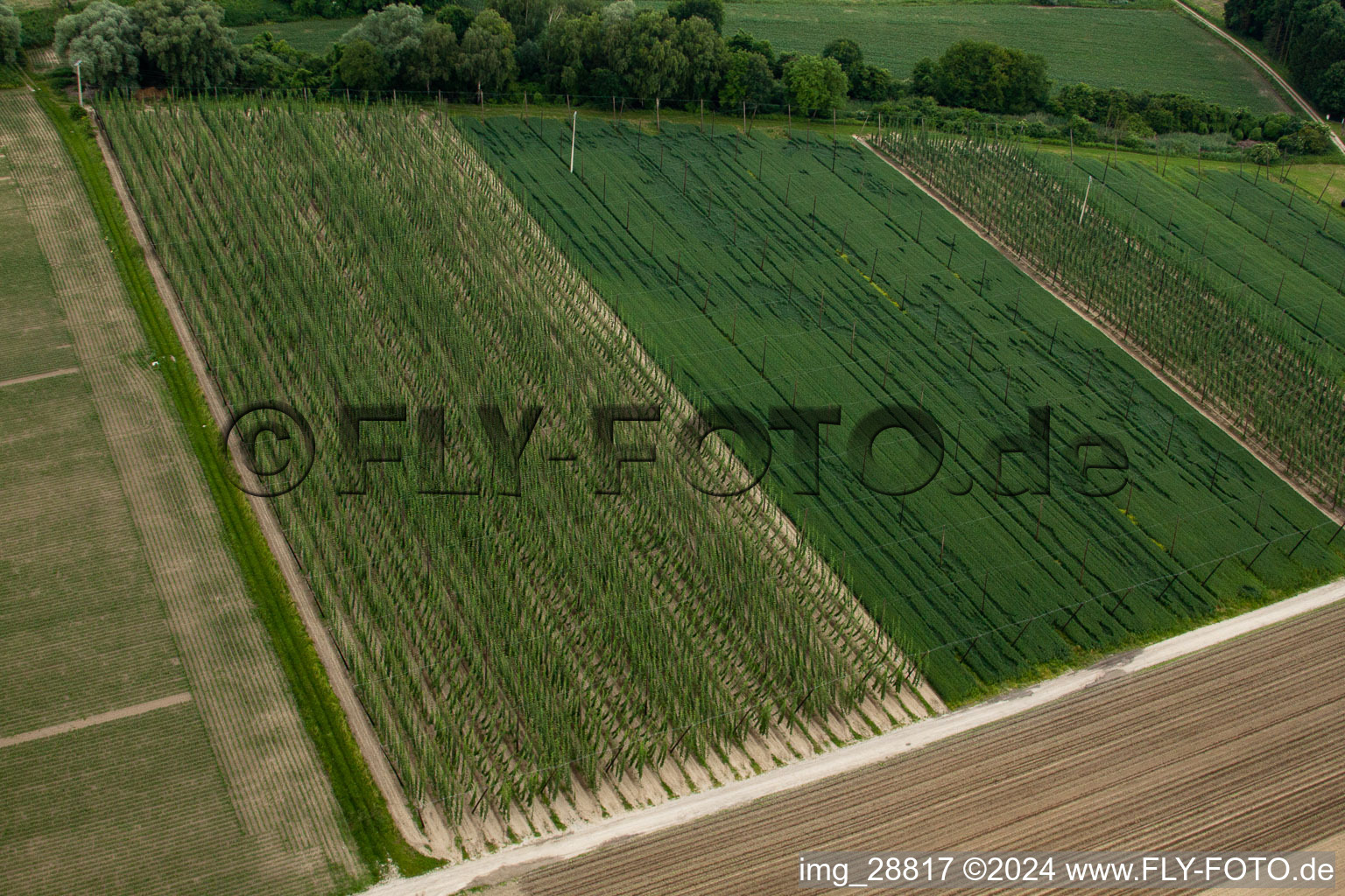 Vue oblique de Dalhunden dans le département Bas Rhin, France