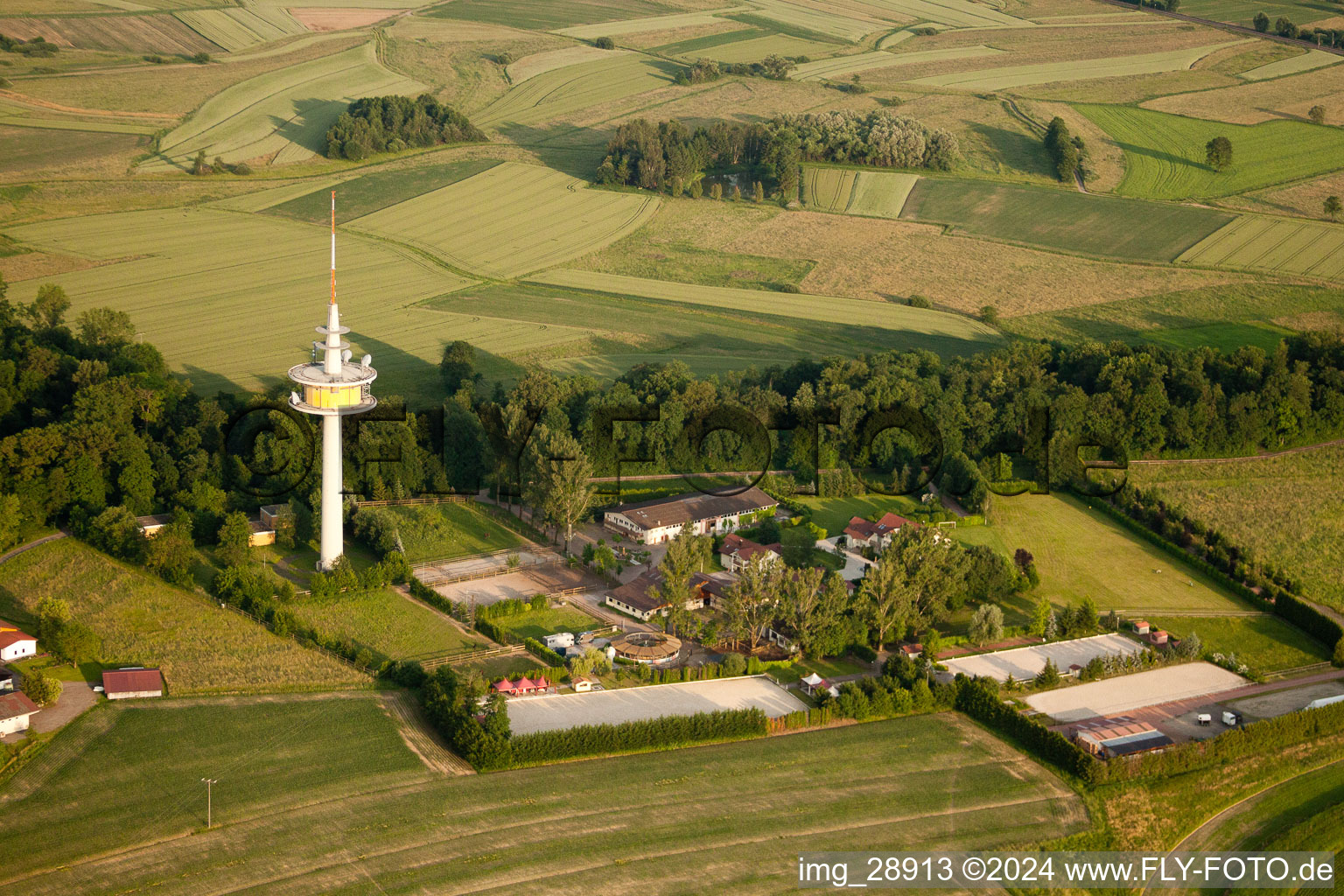 Vue aérienne de Gestüt Kaiserhof au mât de transmission à le quartier Legelshurst in Willstätt dans le département Bade-Wurtemberg, Allemagne