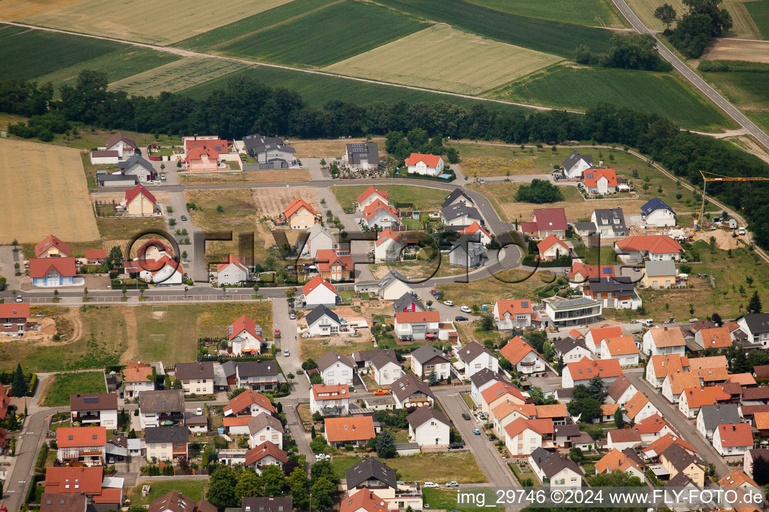 Vue aérienne de Nouvelle zone de développement Blumenring à Neupotz dans le département Rhénanie-Palatinat, Allemagne