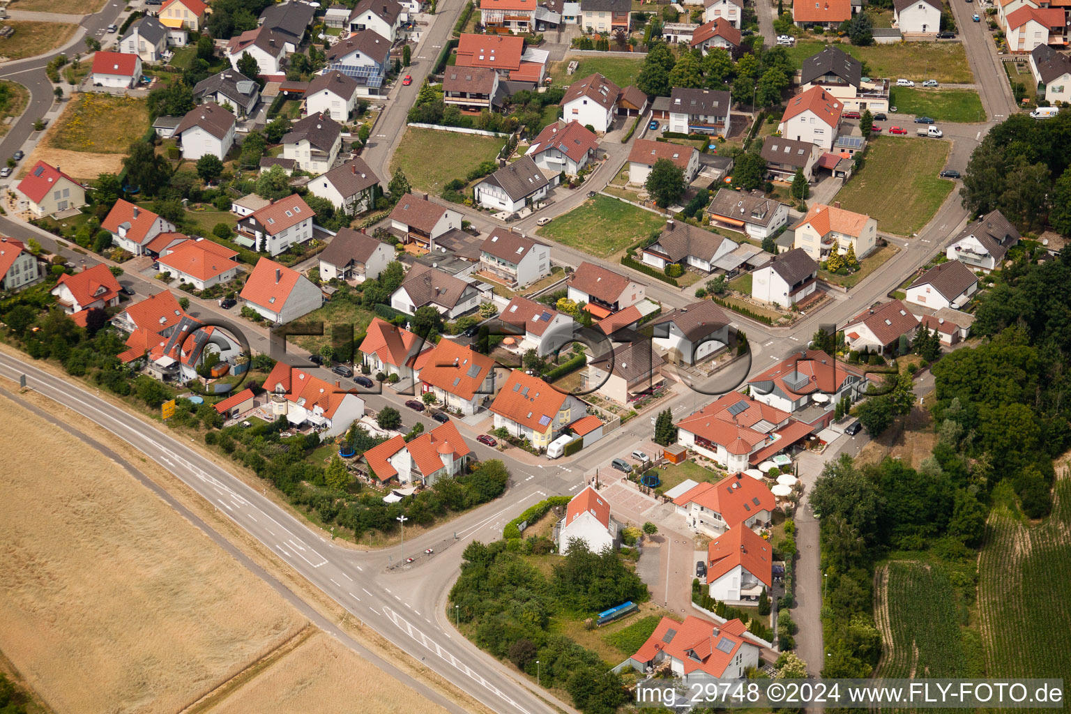 Neupotz dans le département Rhénanie-Palatinat, Allemagne d'en haut