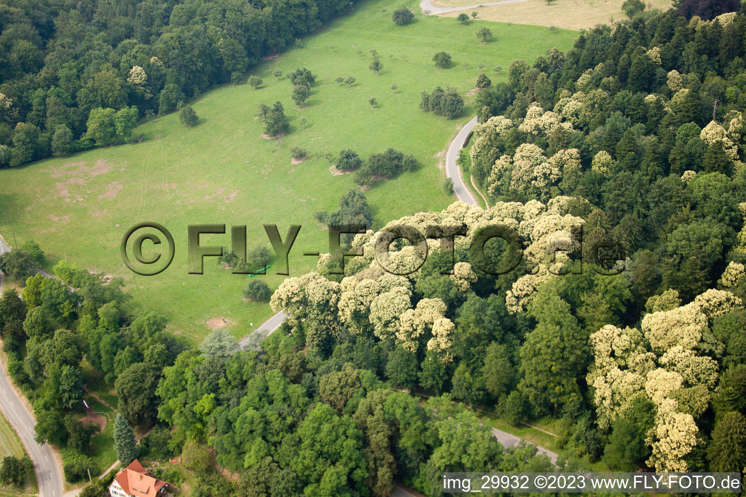 Vue aérienne de Chemin de Speyerhof à le quartier Königstuhl in Heidelberg dans le département Bade-Wurtemberg, Allemagne