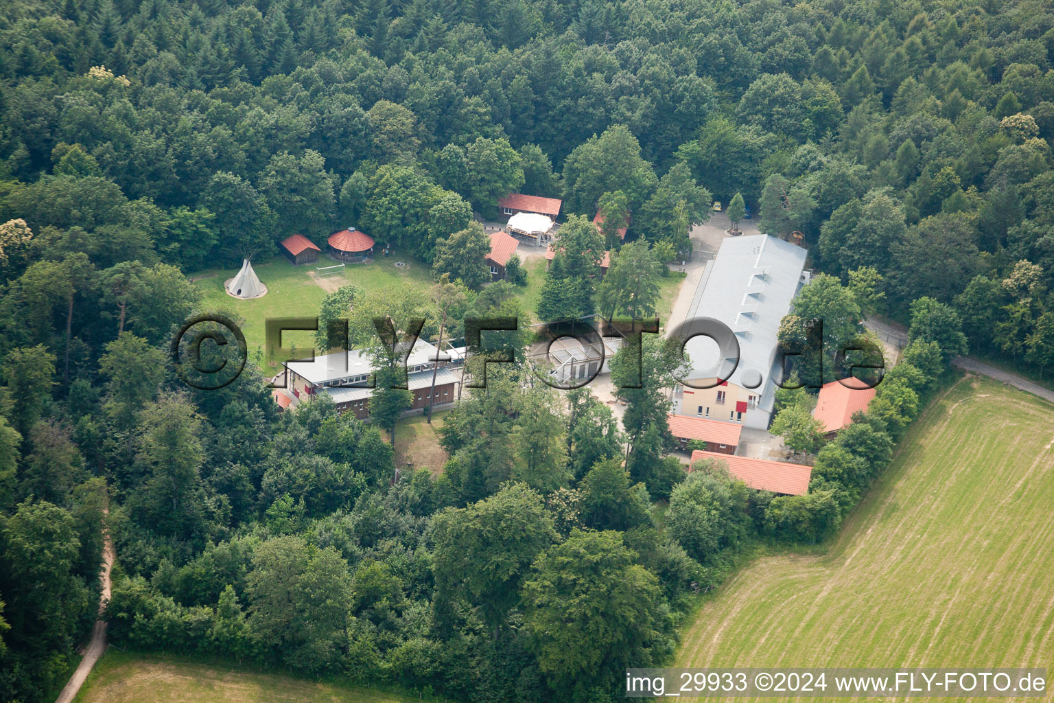 Vue aérienne de Camp de pirates de la forêt à le quartier Rohrbach in Heidelberg dans le département Bade-Wurtemberg, Allemagne