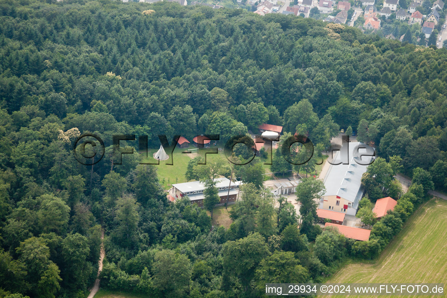 Photographie aérienne de Camp de pirates de la forêt à le quartier Rohrbach in Heidelberg dans le département Bade-Wurtemberg, Allemagne