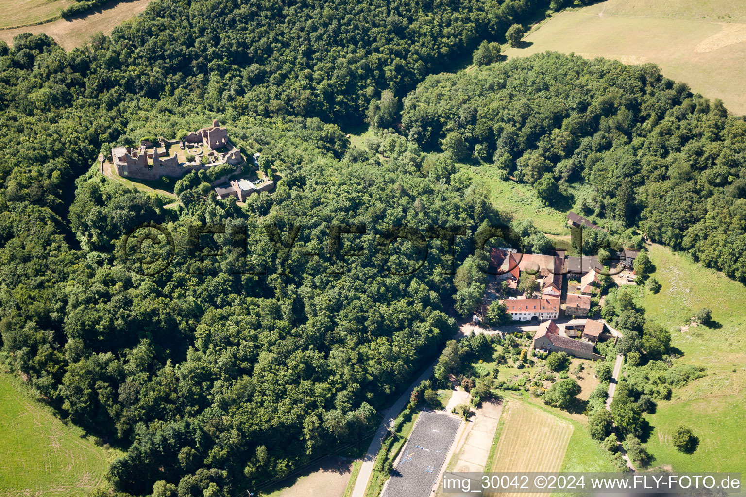 Vue aérienne de Ruines et vestiges des murs de l'ancien complexe du château et de la forteresse Ruines du château de Montfort à Duchroth à le quartier Montforterhof in Hallgarten dans le département Rhénanie-Palatinat, Allemagne