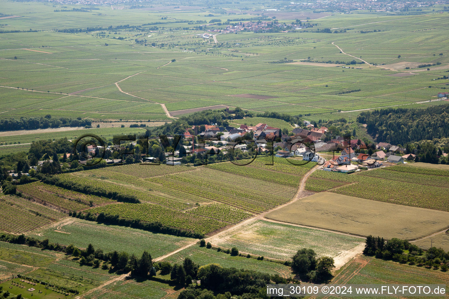 Battenberg dans le département Rhénanie-Palatinat, Allemagne vue d'en haut