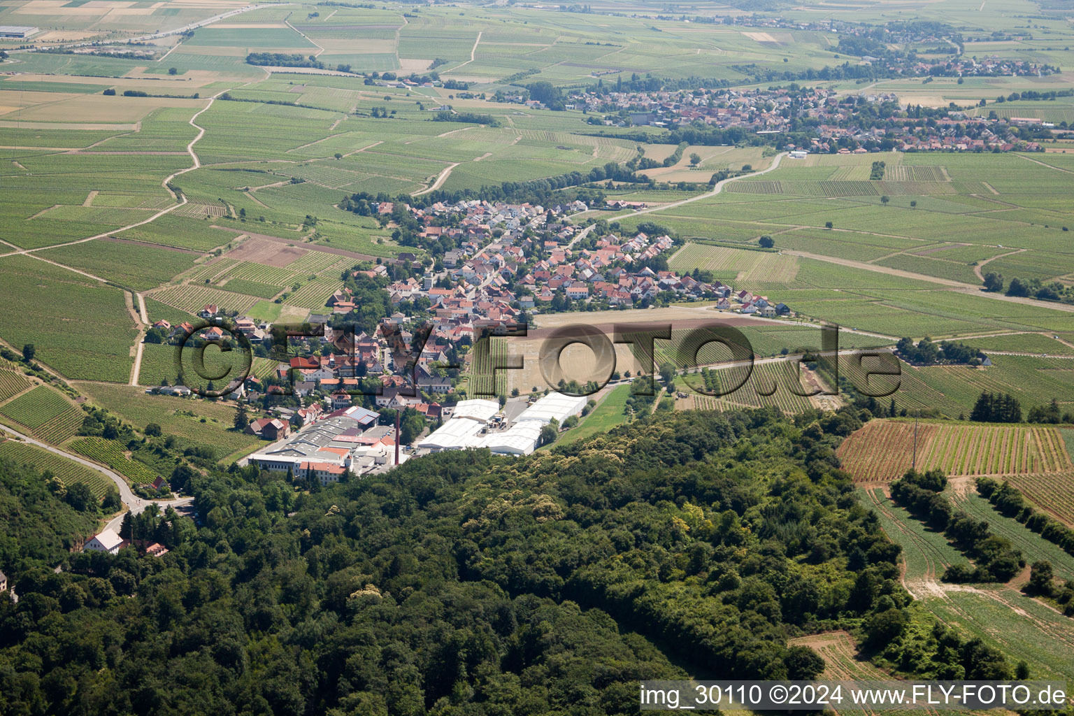 Vue aérienne de De l'ouest à Kleinkarlbach dans le département Rhénanie-Palatinat, Allemagne