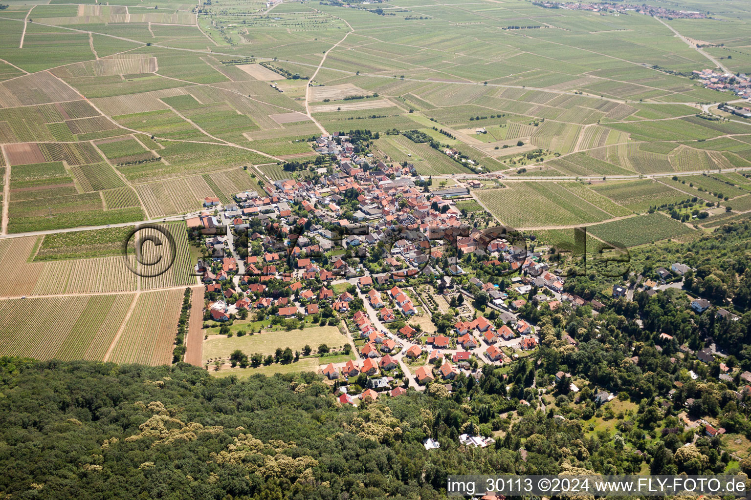 Vue aérienne de À Munchberg à le quartier Bobenheim in Bobenheim am Berg dans le département Rhénanie-Palatinat, Allemagne