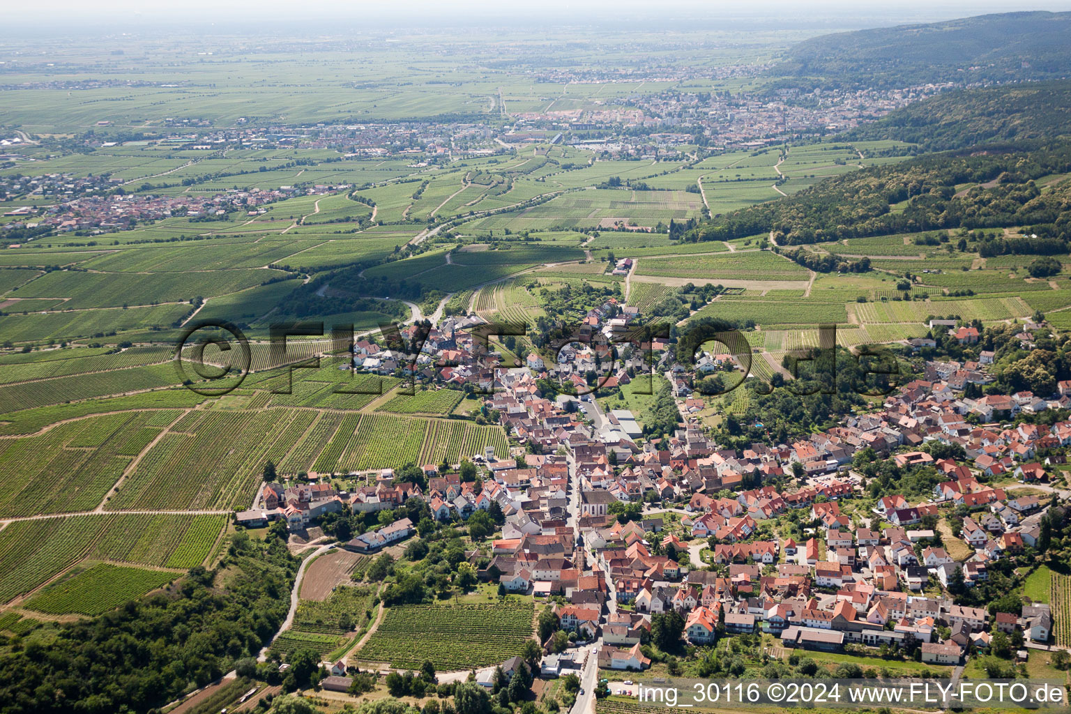 Vue aérienne de Quartier Leistadt in Bad Dürkheim dans le département Rhénanie-Palatinat, Allemagne