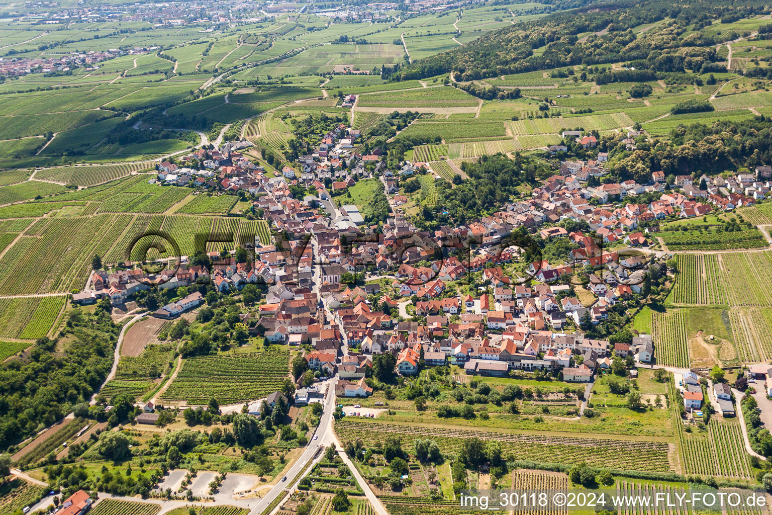 Vue aérienne de Quartier Leistadt in Bad Dürkheim dans le département Rhénanie-Palatinat, Allemagne