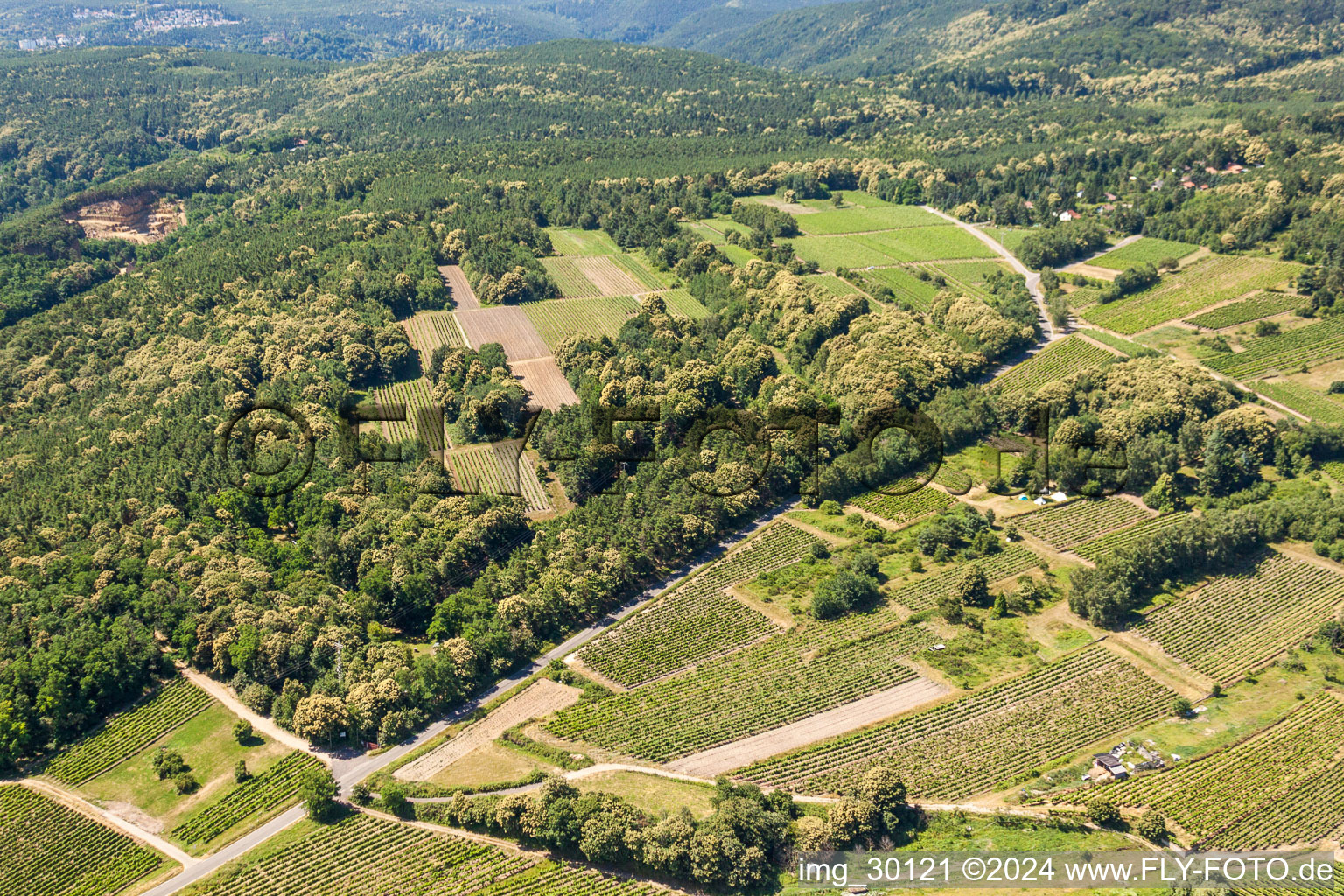 Vue aérienne de Vignobles à Kallstadt dans le département Rhénanie-Palatinat, Allemagne