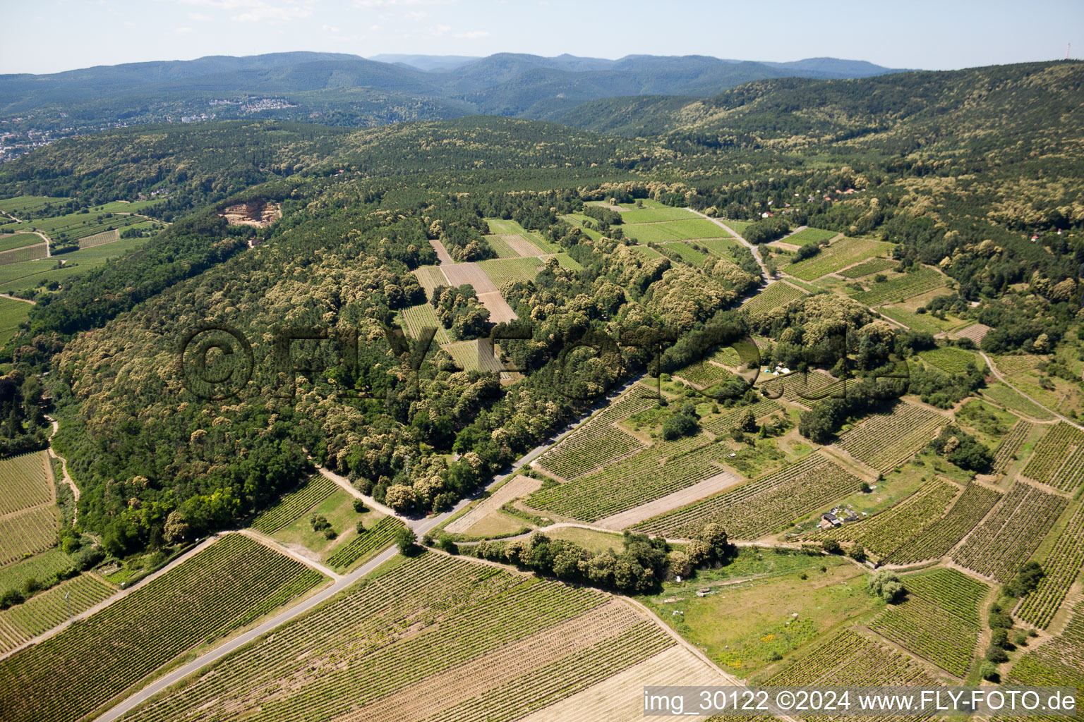 Vue aérienne de Vignobles à Kallstadt dans le département Rhénanie-Palatinat, Allemagne