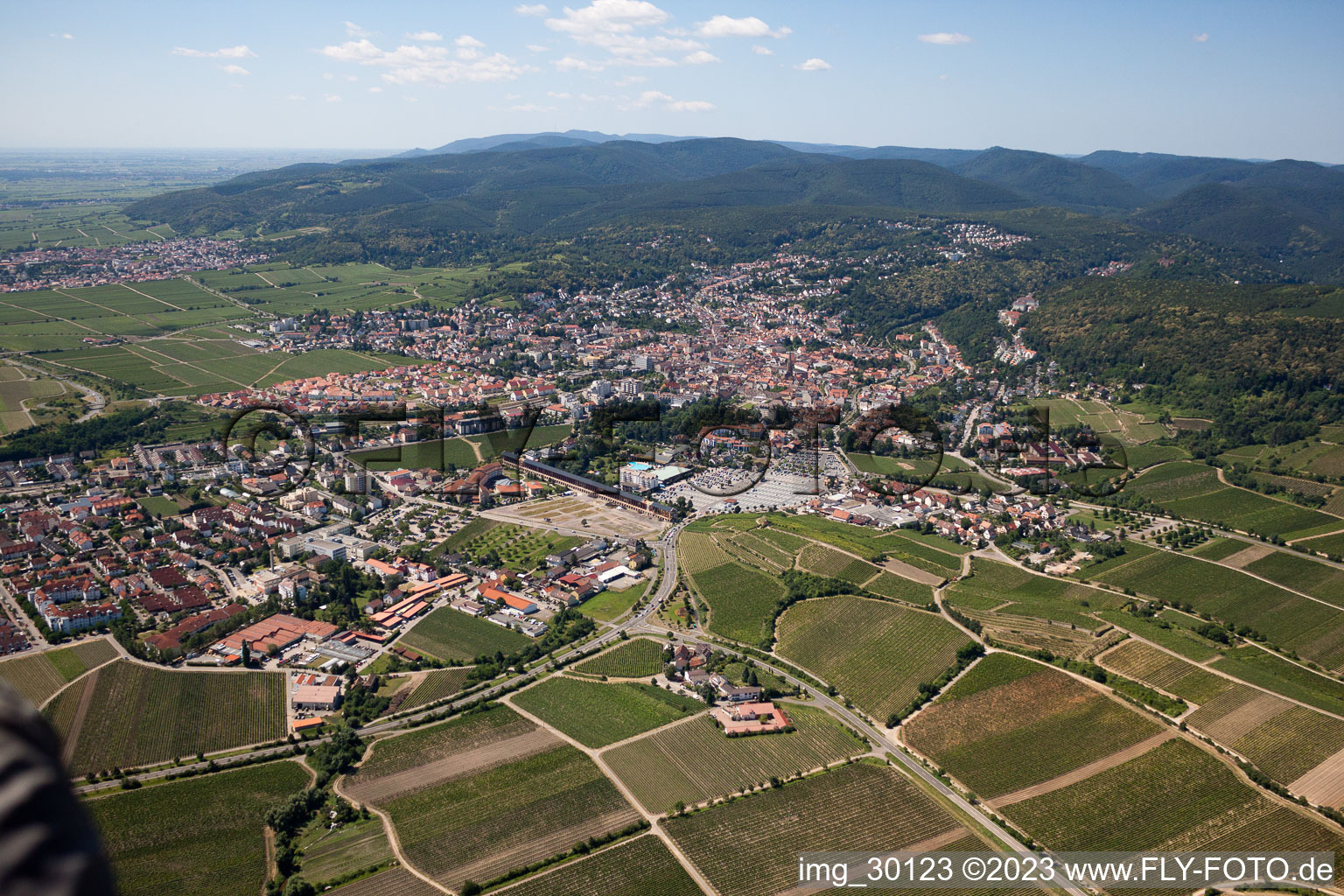 Vue aérienne de Du nord-est à le quartier Pfeffingen in Bad Dürkheim dans le département Rhénanie-Palatinat, Allemagne