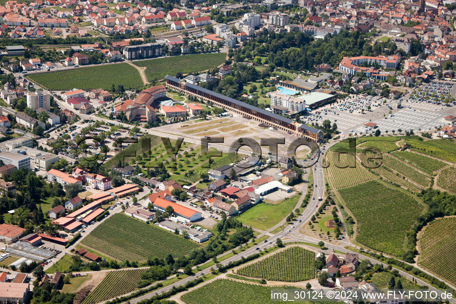 Vue aérienne de Saline à le quartier Pfeffingen in Bad Dürkheim dans le département Rhénanie-Palatinat, Allemagne