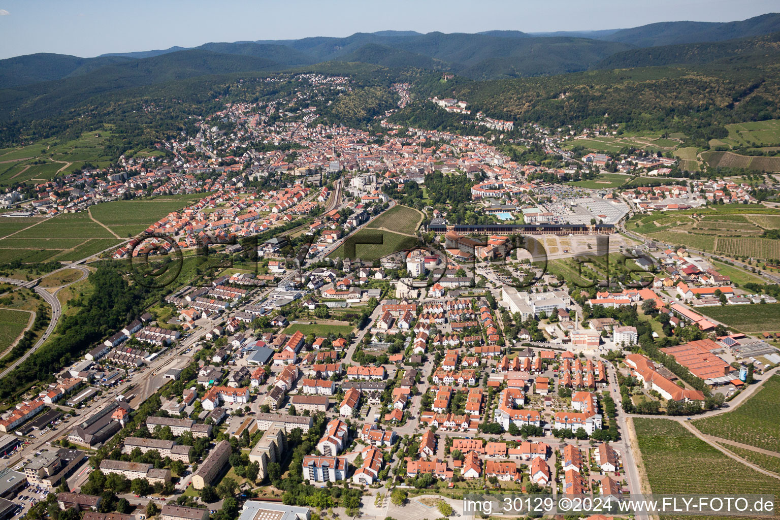 Vue aérienne de Triftweg à le quartier Pfeffingen in Bad Dürkheim dans le département Rhénanie-Palatinat, Allemagne