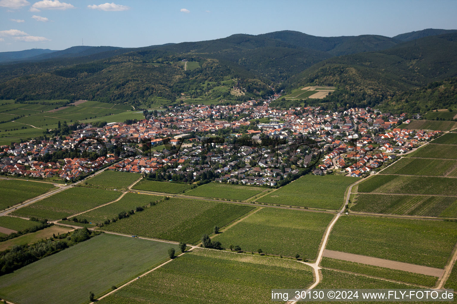 Wachenheim an der Weinstraße dans le département Rhénanie-Palatinat, Allemagne vue du ciel