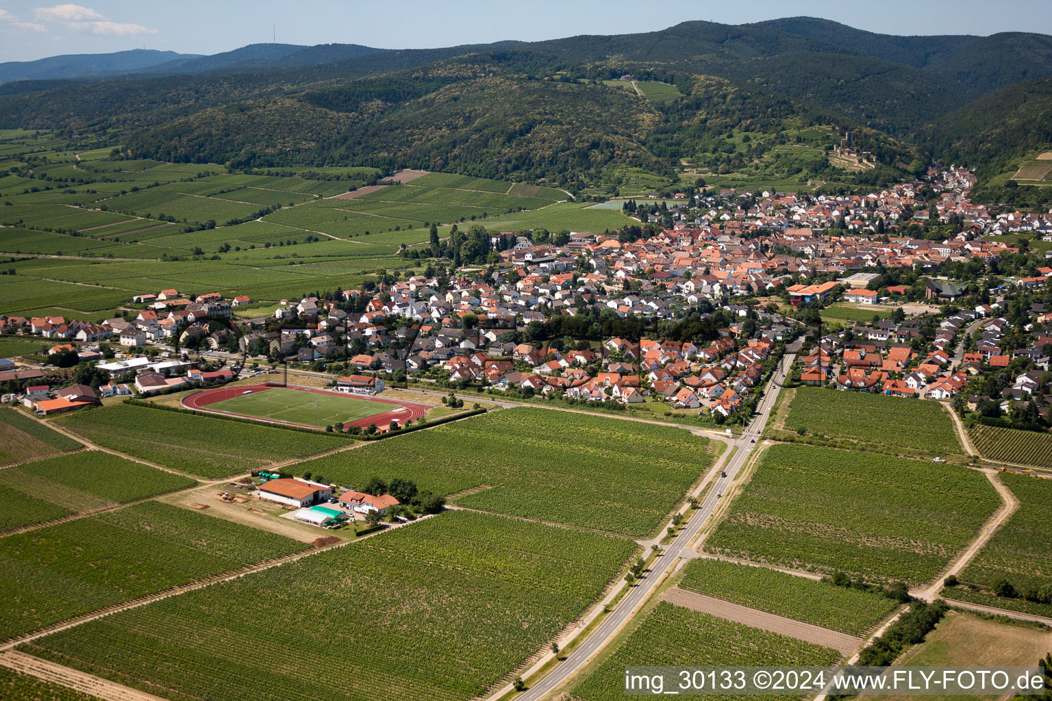 Image drone de Wachenheim an der Weinstraße dans le département Rhénanie-Palatinat, Allemagne