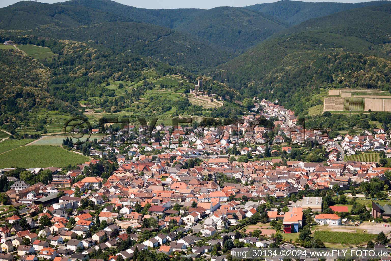 Wachenheim an der Weinstraße dans le département Rhénanie-Palatinat, Allemagne du point de vue du drone