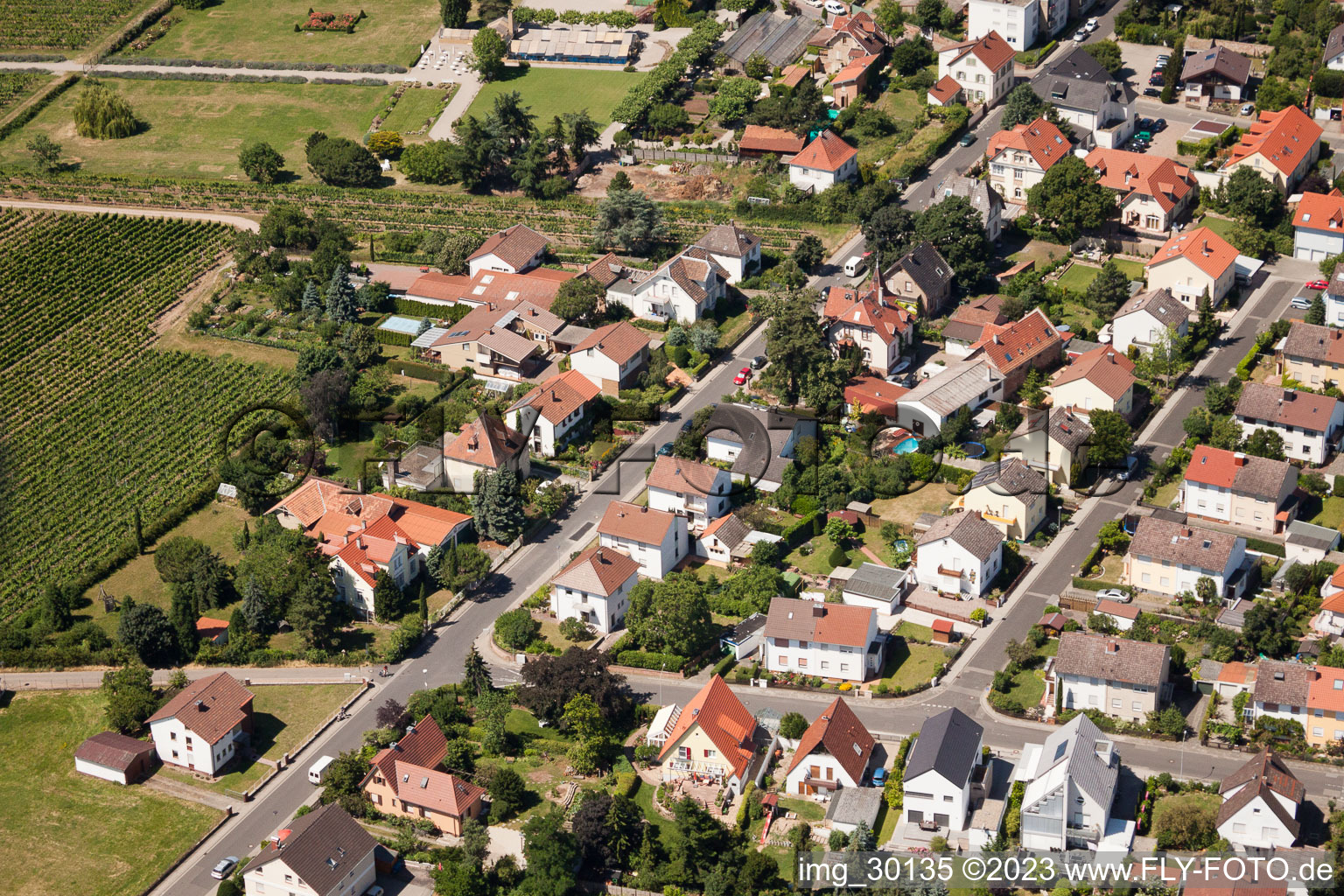 Vue oblique de Wachenheim an der Weinstraße dans le département Rhénanie-Palatinat, Allemagne
