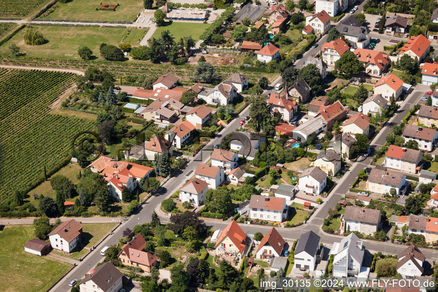 Wachenheim an der Weinstraße dans le département Rhénanie-Palatinat, Allemagne d'un drone