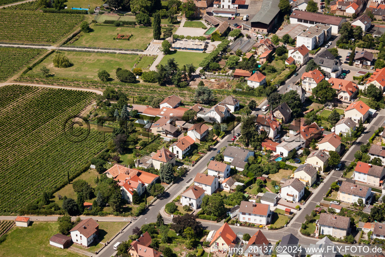 Vue aérienne de Wachenheim an der Weinstraße dans le département Rhénanie-Palatinat, Allemagne