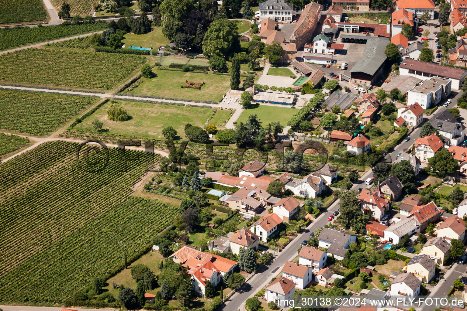 Photographie aérienne de Wachenheim an der Weinstraße dans le département Rhénanie-Palatinat, Allemagne