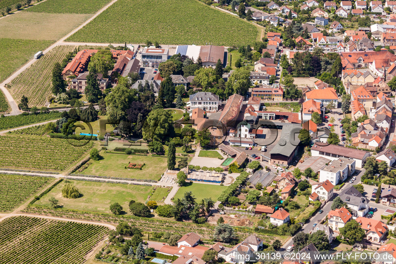 Vue aérienne de Bâtiments et parcs du domaine viticole Dr. Loup de Bürklin à le quartier Wachenheim in Wachenheim an der Weinstraße dans le département Rhénanie-Palatinat, Allemagne