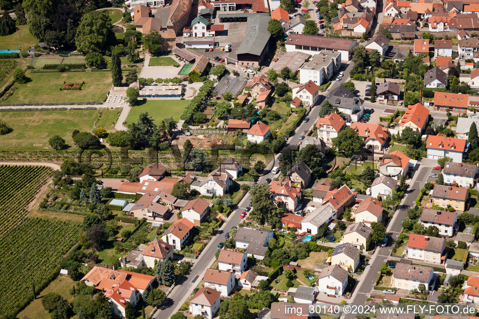 Vue oblique de Wachenheim an der Weinstraße dans le département Rhénanie-Palatinat, Allemagne