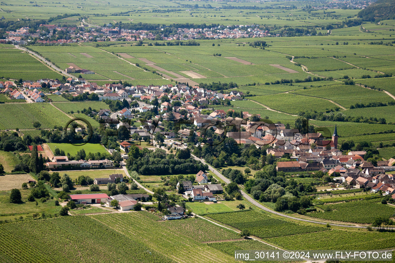 Forst an der Weinstraße dans le département Rhénanie-Palatinat, Allemagne d'en haut